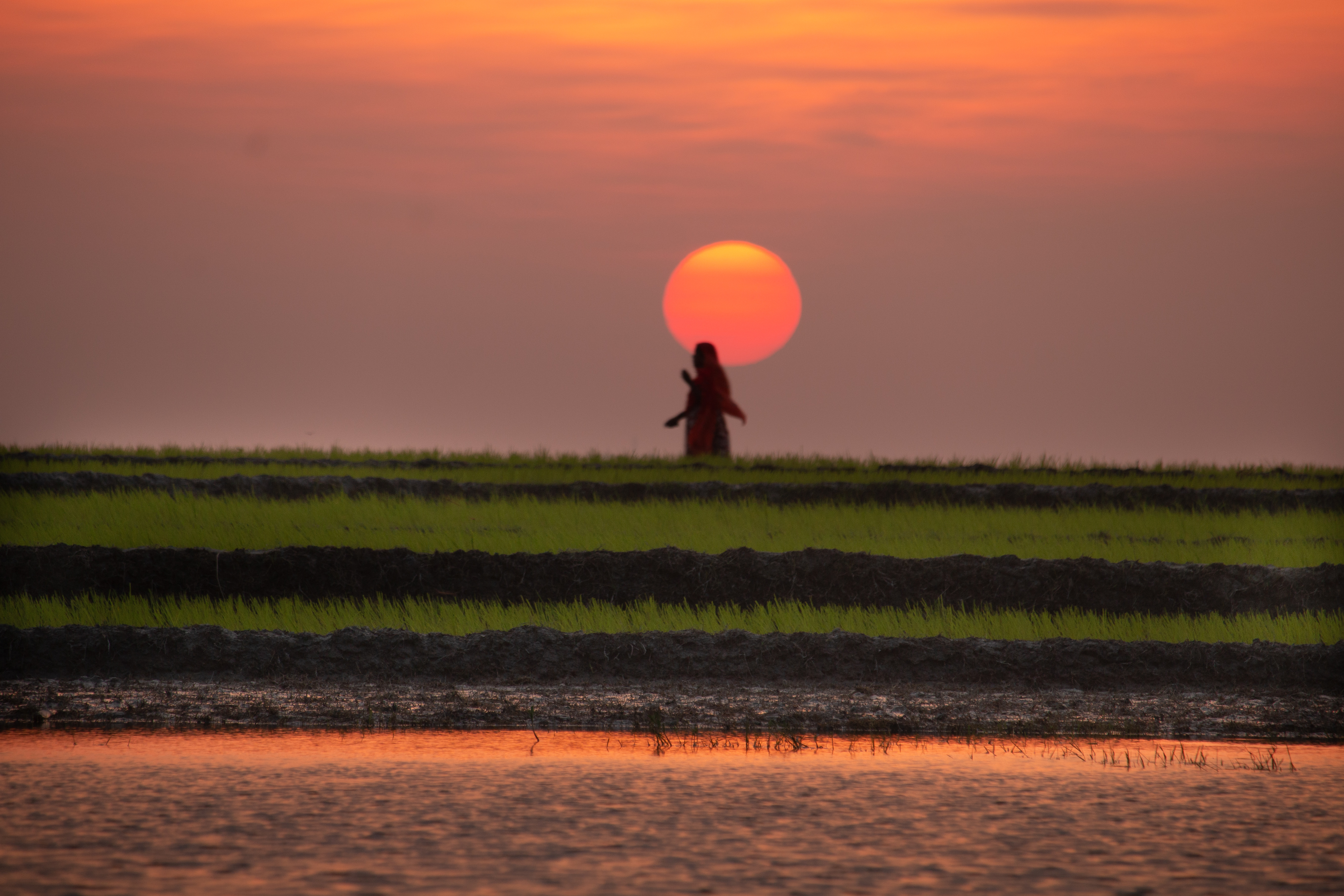 Sunrise